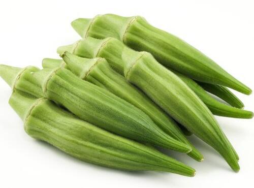 蔬菜品種：秋葵