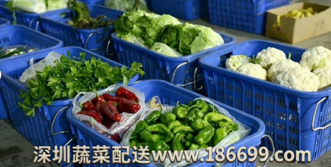 深圳食堂蔬菜配送為何選擇佳惠鮮蔬菜配送中心？