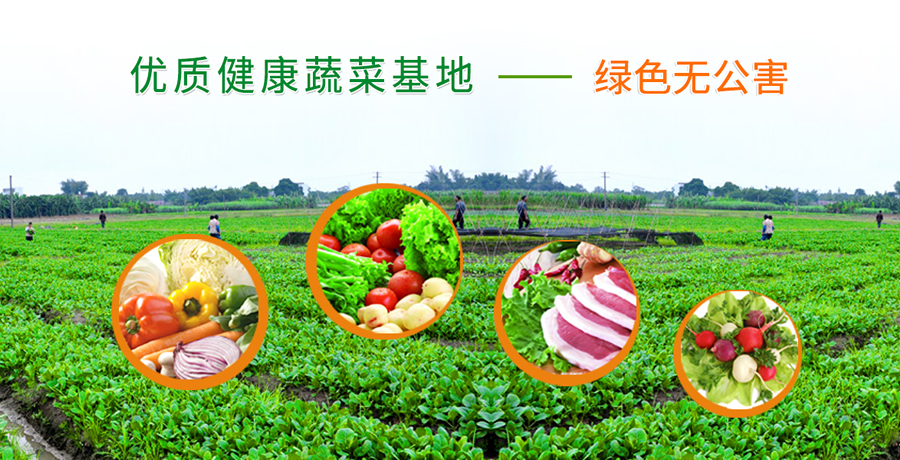 正規(guī)的蔬菜配送公司流程是怎樣的