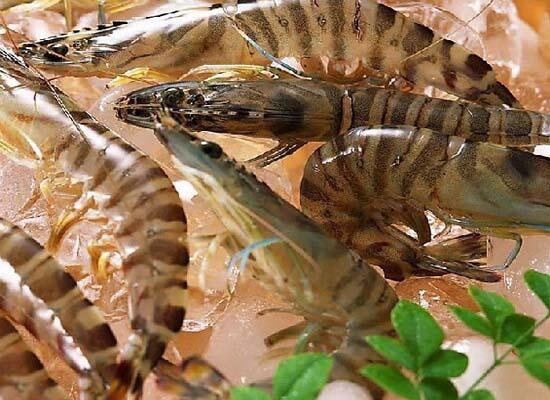 1760257334.jpg tupian_xia.jpg