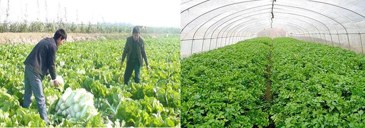 1760955116.jpg tupian_jidi04.jpg