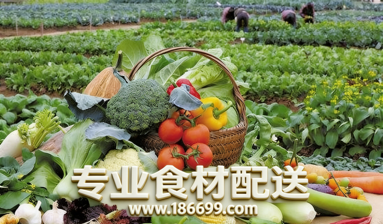 惠州食材供應(yīng)鏈為您普及:冬季夏季的蔬菜營(yíng)養(yǎng)有什么差別?